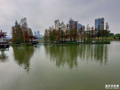 佛山千燈湖走走