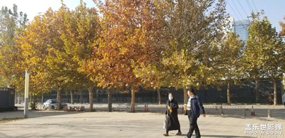 【時光】2020時光