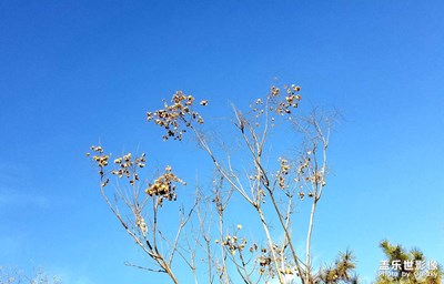 【冬日】+冬日暖陽(yáng)