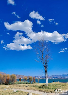 2020年最后一場(chǎng)旅行，帶上S10邂逅一場(chǎng)“秋日”的童話