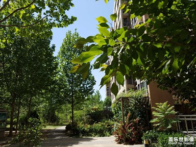 找出了幾種以前用s7拍的照片