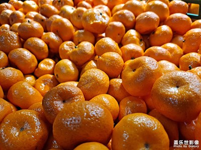 [Samsung Galaxy A51 5G]水果和蔬菜