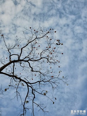 一往如既的校色來自note10+