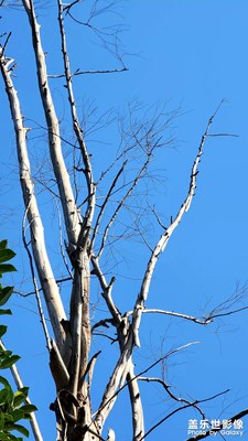 抓住假期的尾巴！