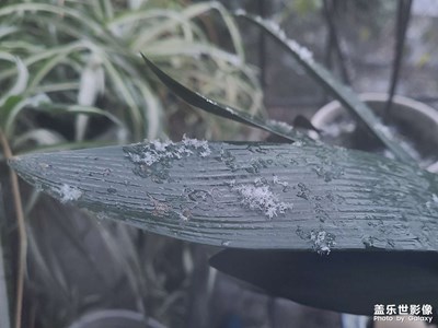 十余年光陰，你，還是來了……