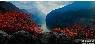 三峽紅葉
