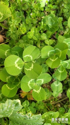 春天要來(lái)了！