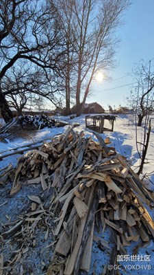 東北農(nóng)村風(fēng)光。。。。。。。。