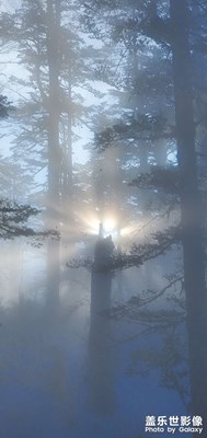 南方的冰雪奇緣〖note10+瓦屋山隨拍〗