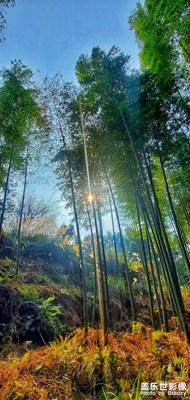 大自然的風(fēng)光