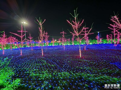 坐標(biāo):河北任丘花燈會