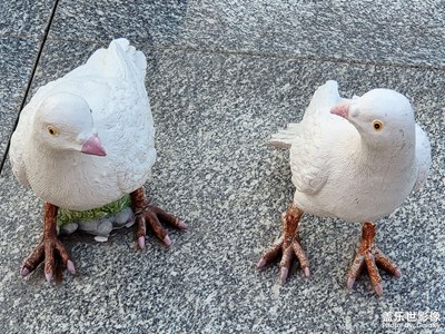 萬(wàn)科左岸大都會(huì)