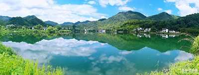 2021，牛轉(zhuǎn)乾坤！