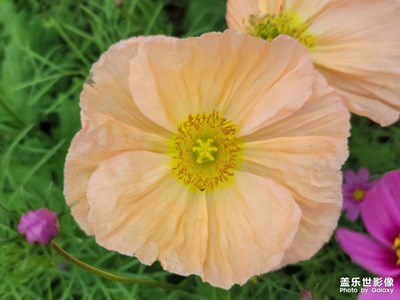 隨手拍，覺(jué)得相機(jī)不滿(mǎn)意