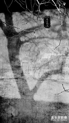 我的家鄉(xiāng)