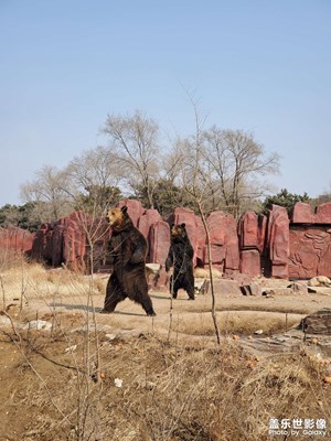 站立，是為了行走嗎？