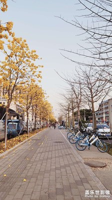 隨拍一半春一半秋