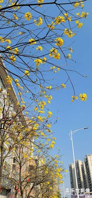 假期就是吃喝玩樂！