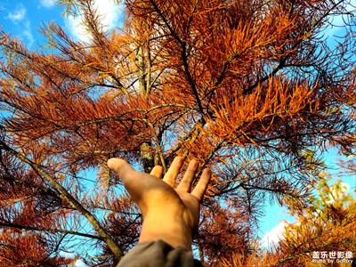 萬(wàn)丈陽(yáng)光