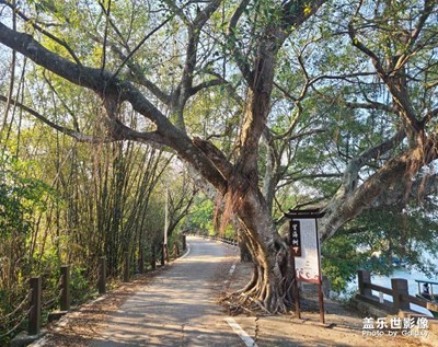 春節(jié)雞乸(á)朗

村一日游