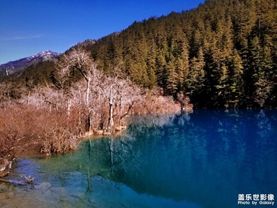 海子