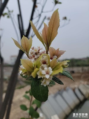 隨手拍