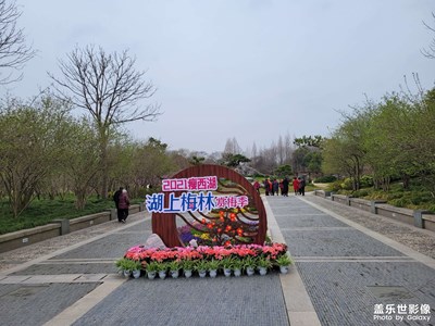 揚州萬花園梅花?節(jié)