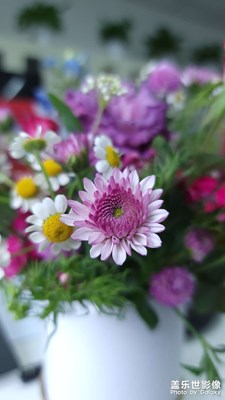 花兒朵朵開(kāi)