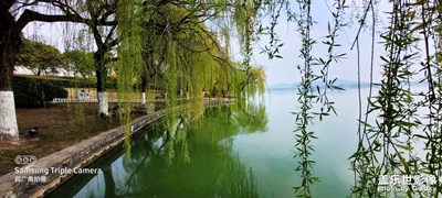 隨手拍