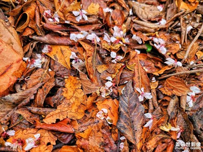 萬物皆緣，只有惜緣才能續(xù)緣