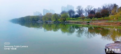 霧里看花