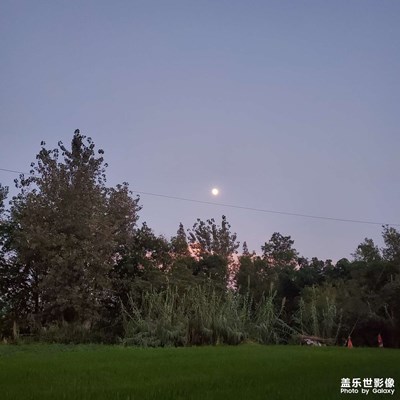 那年夏天，一場(chǎng)悲傷的夢(mèng)