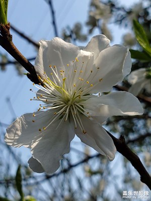 中國(guó)重慶－彩云湖濕地公園