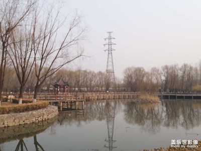 【周末拍點(diǎn)啥】遛彎