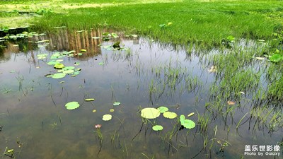 市區(qū)中的國(guó)家濕地公園