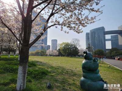 杭州春天