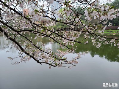 記錄春天