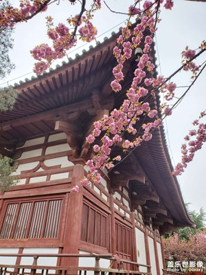 花有重開日，人無再少年！