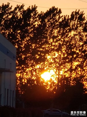 夕陽