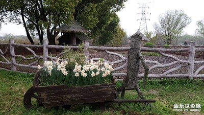 公園