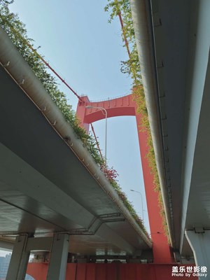 江邊一景。