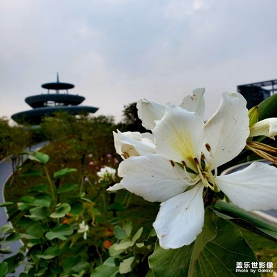 三山文瀚湖