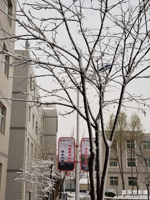 枯藤老樹昏鴉