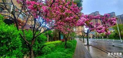 下場雨 大自然像重新?lián)Q裝了一樣 ??