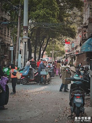 【新春星色彩】隨“星”而拍，隨“星”所見