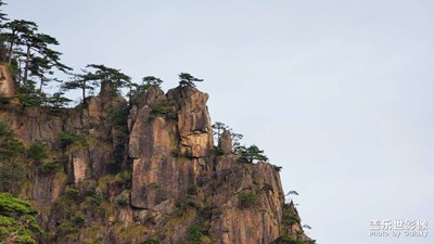黃山即景