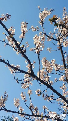 【新春星色彩】春天的步伐！