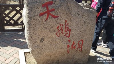 【新春星色彩】+美天鵝