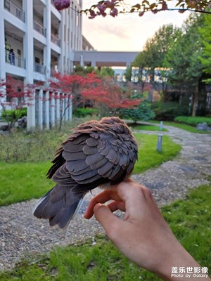 【最美瞬間】通靈