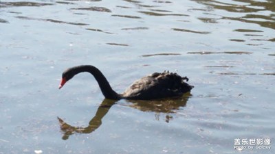 【新春星色彩】+動物園